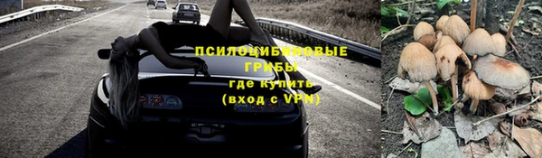 соль ск Богородск
