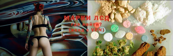 spice Бородино