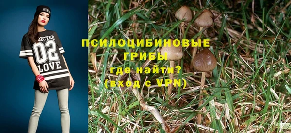 Альфа ПВП Богданович