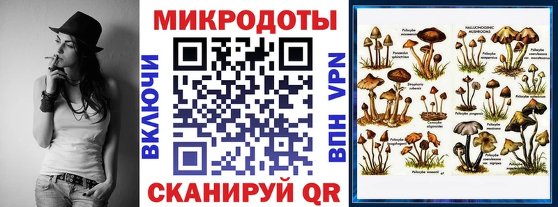 как найти наркотики  Комсомольск  OMG ТОР  Псилоцибиновые грибы GOLDEN TEACHER 